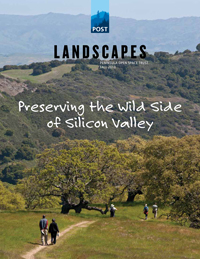 Landscapes Fall 2013