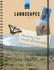 Landscapes Fall 2014