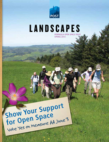 Landscapes Spring 2014